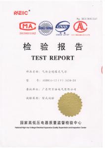 全绝缘充气柜检验报告