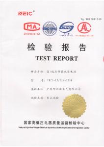 欧式箱变检验报告