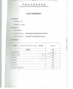 产品检验报告