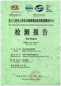 产品检验报告