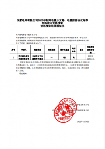 国网入围