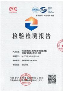 产品检验报告