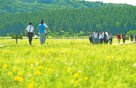 林海茫茫，直入天際；涼風(fēng)習(xí)習(xí)，清爽宜人。夏日塞罕壩，草木蔥蘢，游人如織