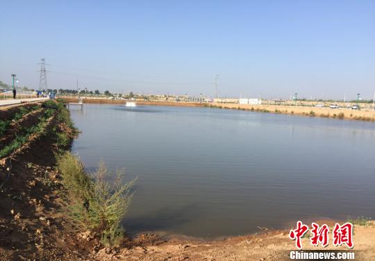 31日，鹽堿地漁農(nóng)綜合利用扶貧工程景泰現(xiàn)場觀摩暨戰(zhàn)略研討會(huì)于甘肅省白銀市景泰縣舉行。景泰縣委書記李作璧表示，利用鹽堿水和鹽堿地發(fā)展水產(chǎn)養(yǎng)殖，既實(shí)現(xiàn)了“變害為寶、變廢為寶”的目的，填補(bǔ)了全市乃至全省堿水魚蝦養(yǎng)殖的空白，也有助于修復(fù)生態(tài)環(huán)境