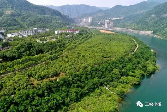 清江在30年水電開發(fā)過程中，堅持把生態(tài)保護(hù)放在首位，在開發(fā)中保護(hù)，在保護(hù)中開發(fā)，讓青山常在、綠水長流，創(chuàng)造了生態(tài)發(fā)展的良性循環(huán)模式，為長江大保護(hù)提供了可資借鑒的經(jīng)驗。“經(jīng)過30年的水電開發(fā)，清江流域仍群山蒼翠、漫江碧透，堪稱奇跡！”8月初，年過七旬的省委決策支持顧問、省社科院原副院長陳文科來到清江邊，面對如畫美景，由衷感慨