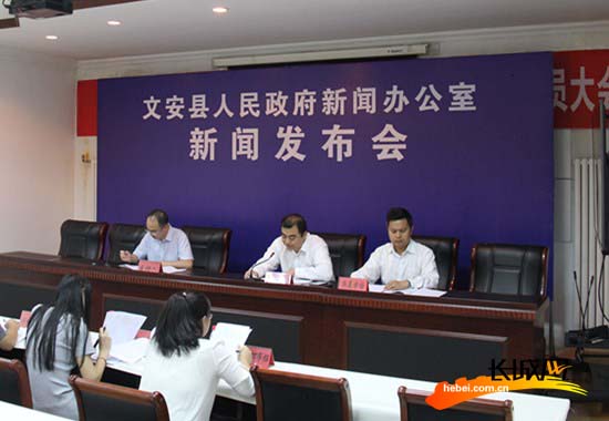 “我們先后委托麥肯錫、羅蘭貝格等國際一流咨詢公司，對文安的區(qū)位、產(chǎn)業(yè)等方面內(nèi)容進(jìn)行深入調(diào)研后，確定了以高端裝備制造、汽車及零部件、新材料、工業(yè)電商為主導(dǎo)方向的‘3+1’產(chǎn)業(yè)發(fā)展體系。”9月4日，在文安智能電網(wǎng)產(chǎn)業(yè)園，該產(chǎn)業(yè)園副主任王峰告訴記者，在空間布局上，園區(qū)秉承“一核、兩軸、兩廊、四園”的發(fā)展布局，即：新城商務(wù)核心；城市發(fā)展軸、新城景觀軸；濱水景觀生態(tài)廊道、綠地景觀生態(tài)廊道；高效節(jié)能產(chǎn)業(yè)園、智能電網(wǎng)產(chǎn)業(yè)園、新材料產(chǎn)業(yè)園、汽車及零部