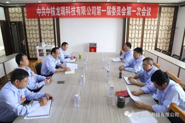 2017年8月31日下午15:00时，中核龙瑞科技有限公司党委在嘉峪关联络处1211会议室召开一届一次会议。会议由公司党委委员夏宝生同志主持