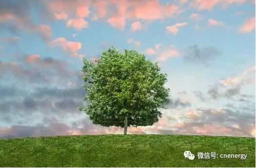 2017年早已过半，资本市场又到了“承前启后”的总结时间。本报记者梳理获悉，截至目前，已有近百家节能环保上市公司发布了年中业绩报