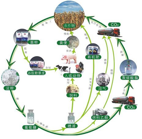 
            	近日，根據(jù)國家能源局發(fā)布的指導(dǎo)意見，我國將加強(qiáng)和規(guī)范生物質(zhì)發(fā)電管理。意見明確，大力推進(jìn)農(nóng)林生物質(zhì)熱電聯(lián)產(chǎn)，從嚴(yán)控制只發(fā)電不供熱項目