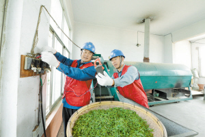 
　　山东日照供电公司服务茶农用电。 刘相允 摄

　　习近平总书记在十九大报告中明确提出要在全面建成小康社会决胜期，坚定实施乡村振兴战略