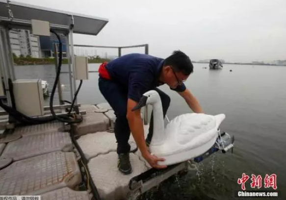 
            	新加坡四面環(huán)海，年均降雨量接近2400毫米，遠(yuǎn)高于全球平均水平1050毫米，但由于國土面積小又缺乏自然湖泊， 蓄水能力有限，大量雨水直接流入海洋，日常生活和工業(yè)生產(chǎn)所需要的淡水資源依然極度匱乏。資料圖：新加坡水質(zhì)研究員將檢測湖水質(zhì)量的機(jī)器做成了天鵝的形狀，從遠(yuǎn)處看去，就像湖里漂著幾只白天鵝一樣