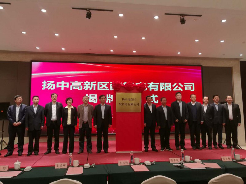 原标题：打造全国首个高比例可再生能源配电网 江苏混合所有制配售电公司正式揭牌            江苏省配电网领域混合所有制改革迈出重要步伐。11月10日上午，由江苏省电力公司、扬中大航集团、协鑫智慧能源联合组建的扬中高新区配售电有限公司正式揭牌成立，这是江苏成立的混合所有制配售电公司，将打造国内首个高比例可再生能源配电网
