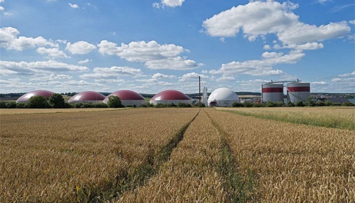 原标题：生物质能发电优势明显 四大发展趋势需注意             生物质是地球上最广泛存在的物质，包括所有的动物、植物和微生物，以及由这些有生命物质派生、排泄和代谢的许多物质。生物质发电是利用生物质所具有的生物质能进行发电，是可再生能源发电的一种