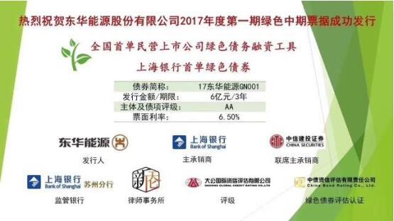 原标题：东华能源发行全国首单民营上市公司绿色中票            近日，东华能源股份有限公司(股票代码：002221，以下简称“东华能源”)2017年度第一期绿色中期票据成功发行，发行金额6亿元，期限3年，票面利率6.50%。该项目是全国首单民营上市公司绿色债务融资工具