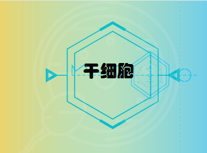 
            	干细胞作为21世纪再生医学的基础，不仅是当前的科技前沿和热点，同样也受到产业资本的高度关注。全球生物科技领域发展加快，干细胞全产业链模式发展企业优势明显
