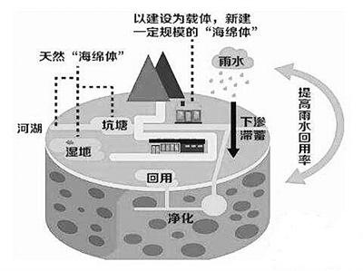 
            	下雨時像海綿一樣吸收雨水，需要的時候能將雨水“吐”出來。海綿鄉(xiāng)村，借助自然力量排水，“源頭分散”“慢排緩釋”，就近收集、存蓄、滲透、凈化雨水，讓鄉(xiāng)村如同生態(tài)“海綿”般舒暢地“呼吸吐納”