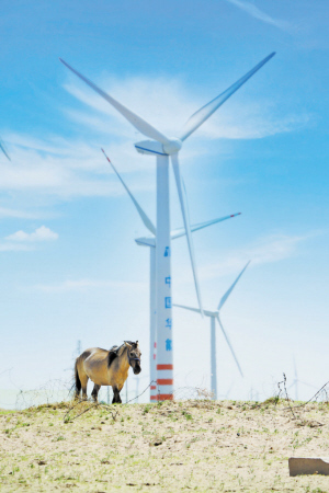 原标题：扩大跨省跨区外送规模 探索可在生能源消纳新模式            日前，记者从国家能源局了解到，今年前三季度，全国弃水、弃风、弃光局面有所好转，可再生能源电力整体消纳水平逐步提高。其中，弃风率同比下降6.7个百分点，弃光率同比下降4个百分点