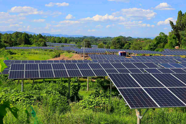 原标题：今年光伏领跑者基地规模达6.5GW 光伏平价上网进度提速            按照国家能源局目标，到2020年实现光伏发电平价上网，距离这一目标还有两年多时间。对此，光伏行业专家赵玉文对《每日经济新闻》记者表示，“领跑者计划最大程度降低了光伏发电成本，特别是应用领跑基地转变了行业的同质化竞争，使得光伏企业在技术上进行投入，降低了光伏度电成本，从而推动光伏平价上网进度的提速