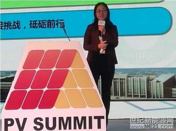 2017年12月5日，2017光伏领袖峰会—西部论坛重磅开幕！12月5日下午，数位嘉宾对电力体制改革为光伏产业提供的新机遇进行了探讨，由国家发展和改革委员会能源研究所、国家可再生能源中心副主任赵勇强担任主持人。

华北电力大学教授、华北电力大学经济与管理学院能源市场研究所所长董军女士作为该主题论坛的首位分享嘉宾，作了题为《电改与光伏：相互促进，砥砺前行》的演讲