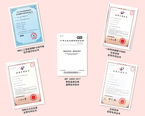 　　福建顺昌虹润精密仪器有限公司（以下简称为虹润公司）研制的人工智能温控器产品，是虹润公司集二十多年自动化控制理论研究成果、十多年现场经验积累，以及融合了当前国内外多种最先进的温控算式。特别是经过近几年潜心研究，造就了真正的人工智能算式