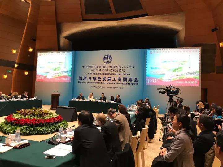 原标题：天合光能杨晓忠呼吁政企协同与国际合作推动绿色发展            2017年12月9日，中国环境与发展国际合作委员会(简称国合会)2017年会的环境与发展高层论坛分论坛暨创新与绿色发展工商圆桌会在北京钓鱼台国宾馆举行，国合会秘书长、中国环保部副部长赵英民，国合会执行副主席、加拿大环境与气候变化部部长麦肯娜等出席并致辞，天合光能首席品牌官杨晓忠应邀出席圆桌会并发言。  在谈到政企协同时，杨晓忠表示，无论从纵向观察还是从横向比较，中国政府对清洁转型的重视和取得的成就都令世界瞩目