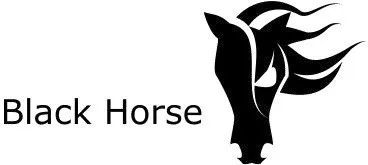 原标题：【沙龙】黑马外汇——这一次，让您做一匹外汇界的黑马             Black Horse Markets（UK）Limited 是一家英国知名的金融衍生品交易服务商。受英国FCA金融行为管理局监管（FCA770859）为全球机构和零售客户提供外汇、贵金属、能源、股指CFDs差价合约的交易服务