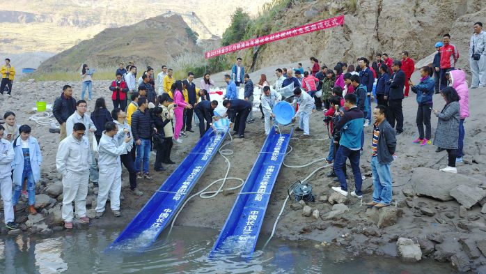     　　本网讯（朱静霞）齐口裂腹鱼，又称“雅鱼”，是分布于岷江、大渡河等水系中的一种营养价值较高的鱼类，20世纪90年代以后，因捕捞不合理、自然生态遭到破坏，大批齐口裂腹鱼受伤、死亡，许多河段已不见其踪影。     　　为保护鱼类资源，维护水生生物多样性，12月15日，在金沙江白鹤滩乌东德珍稀特有鱼类增殖放流站（简称“放流站”）外的江滩边，3.51万尾齐口裂腹鱼从志愿者手中滑出，跃入金沙江