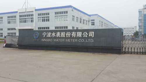 　　 “站建了，人来了，企业发展了。”宁波水表技术总监、教授级高工姚灵说道