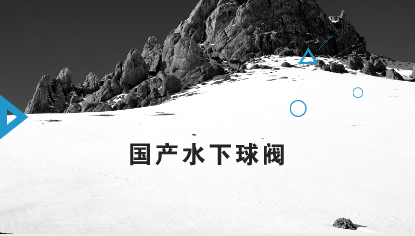 　　12月6日，中国海洋石油集团广东湛江分公司海南文昌9-2/9-3/10-3气田群工程项目2台8寸2500磅的国产水下球阀顺利通过出厂验收，并即将运用在文昌10-3气田水下井口管汇，这意味着中国海油在水下阀门国产化方面取得了历史性的突破。  　　水下阀门以匣阀与球阀为主，作为水下生产系统的核心设备，对于水下油气资源的开发至关重要