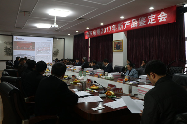 
                
	
                    
	12月24日，江苏省经济和信息化委员会在宜兴组织召开了“远东电缆2017年新产品鉴定会”。会上，远东智慧能源股份有限公司（简称：智慧能源；股票代码：600869）旗下远东电缆有限公司提交的“直线驱动长定子电缆（磁悬浮轨道交通用特种软电缆)（MTLEF-12/20(24)kV)”、“超高层建筑用垂吊敷设电缆及吊具（DZ-WDZANCDD(ZAN)-YJY 6/10k