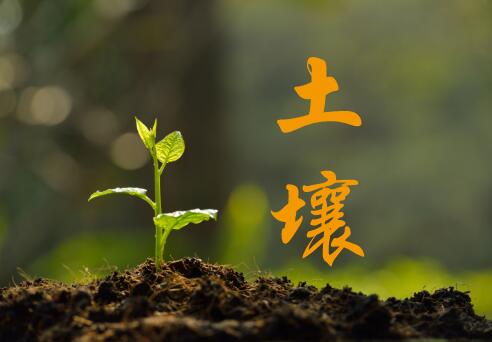 
            	当前，在经济新常态下，我国生态文明建设和环境治理工作也逐渐步入正轨。土壤污染治理作为环境治理工作的重要组成部分，对生态文明建设和人类生产生活具有重要影响