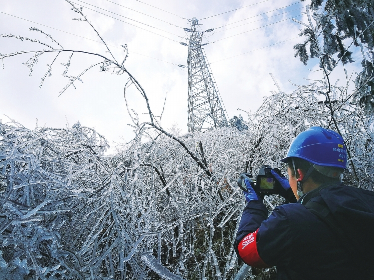 
　　1月8日，廣西電網公司桂林供電局輸電管理所運維五班工作人員正在對覆冰線路進行紅外測溫。（唐增航 攝）

　　南網報訊 受較強冷空氣影響，近一周以來全國出現大范圍降溫天氣，華南及云貴高原局地降溫達10℃以上