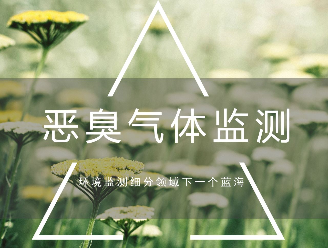 　　说到环境污染，人们往往比较关注大气污染雾霾之类。然而有一种污染却并不为人们所关注，但是却在影响着人们的身心健康，它就是恶臭污染