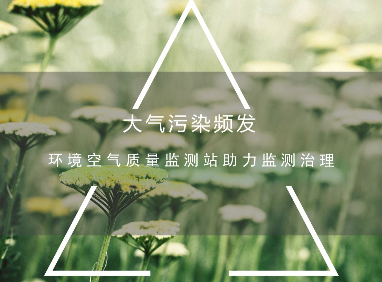 　　随着我国经济的快速增长，能源消耗不断增加，导致近年来我国大气环境污染事件频频发生。如今，大气污染治理越来越受到人们的重视，政府部门也将大气污染治理作为一项重要的工作来抓