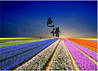 
            	离子色谱是分析阴离子和阳离子的一种液相色谱方法。离子色谱仪是一种科学分析仪器，可快速、简便地分析多种阴阳离子