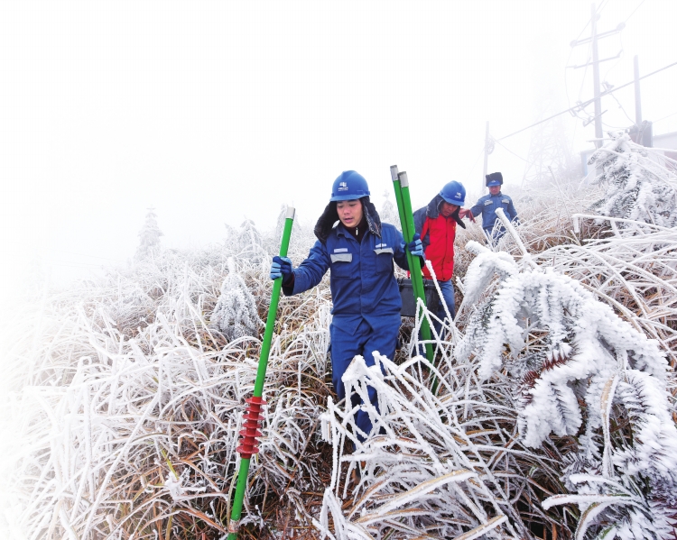 
　　1月28日，廣西電網(wǎng)公司桂林靈川供電公司大圩供電所設(shè)備維護(hù)班工作人員何斌、秦瑞華、趙文剛在10千伏大境樂(lè)育線85號(hào)桿地段進(jìn)行特巡?！〔芪?張梁 攝

　　編者按：近日，南方迎來(lái)入冬以來(lái)影響范圍最廣、持續(xù)時(shí)間最長(zhǎng)的低溫雨雪天氣，南方多省份開(kāi)啟“冰凍”模式