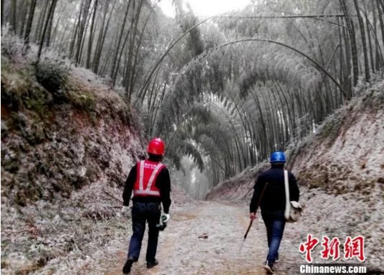 
            	漳平市供电公司双洋供电所组织工作人员开展雪中特巡，上山查看线路覆冰情况。俞婷婷摄29日，福建省漳平市双洋镇高海拔的坑源村马山地区遭遇大风降雪天气