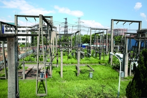 
                
	
                    
	1月23日凌晨，河北院設(shè)計(jì)的成峰500千伏新建變電站站內(nèi)500千伏側(cè)設(shè)備順利投運(yùn)，這標(biāo)志著成峰500千伏新建智能變電站第二個(gè)投運(yùn)階段圓滿成功。

	

	作為邯鄲地區(qū)重要的電源支撐點(diǎn)，成峰500千伏智能變電站是河北南網(wǎng)強(qiáng)化500千伏主網(wǎng)結(jié)構(gòu)的重要工程，該站500千伏側(cè)設(shè)備的順利投運(yùn)，對(duì)進(jìn)一步加強(qiáng)華北電網(wǎng)網(wǎng)架結(jié)構(gòu)，構(gòu)建統(tǒng)一堅(jiān)強(qiáng)智能電網(wǎng)，有效緩解邯鄲地區(qū)電力需求緊張局面，推動(dòng)當(dāng)?shù)亟?jīng)濟(jì)發(fā)展具有重要意義