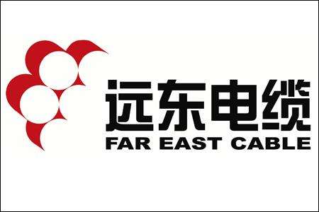 
                
	
                    
	日前，2017年度江苏省“自主工业品牌”五十强企业发布，远东智慧能源股份有限公司（简称：智慧能源 股票代码：600869）全资子公司远东电缆有限公司（简称：远东电缆）榜上有名。这也是远东电缆第二次上榜