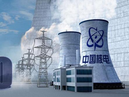 
                
	
                    
	中国核电2月1日晚间发布的2017年度业绩快报显示，2017年度公司营业总收入为335.91亿元，较上年同期增加358,192.73万元，增长11.94%。

	

	营收增加的主要原因是子公司海南核电2号机组于2016年8月商运，福清核电3、4号机组分别于2016年10月、2017年9月商运，本报告期上述机组发电量较上年同期大幅增加
