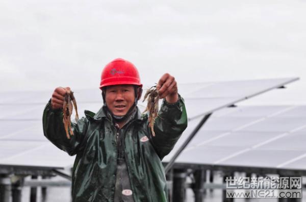 

2018年1月末，广东遭遇强冷空气，全省进入一年来最冷的一周，气温降到8度以下，这对于靠天吃饭的水产养殖农户来说，是一件煎熬的事情。尤其是虾类养殖，由于天气不稳定等因素，市面上出现了许多“养虾难，挣不到钱”的声音，养殖积极性不高