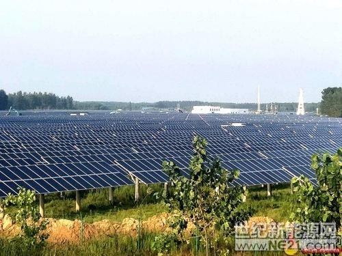 

张集镇1500亩光伏发电项目。



2月6日，在张集镇裴马庄村专业种植合作社里，技师正在指导桃树剪枝技术