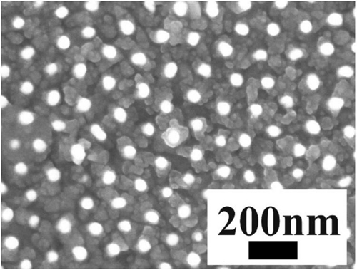 　　近日，中国科学院安徽合肥物质科学研究院固体物理研究所纳米材料与纳米结构研究室研究员费广涛课题组，在等离子增强宽波段光电探测器研究方面取得进展，相关研究成果发表在Journal of Materials Chemistry C上。 金纳米棒阵列修饰的硫化铅薄膜的扫描示意图 　　作为传统的红外材料，硫化铅广泛应用于红外探测领域
