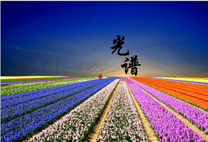 
            	2017年，上海光谱仪器有限公司(“上海光谱”)实现了销售额同比增长35%，年产量同比增长20%。可以说，这样喜人的市场成绩是品牌国内市场与国际市场共同布局的必然结果，也是企业过硬的技术实力和俱佳的市场影响力的有力体现