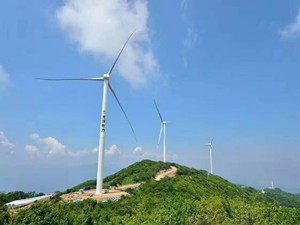 
                
	
                    
	2月6日，广西玉林电网又喜添一座中广核风电场——110千伏冲山风电场，该风电场于2月8日正式接入电网并网发电，全部投运后每年可为玉林市提供1.06亿千瓦时的绿色电能。

	

	据悉，110千伏冲山风电场位于北流市平政镇、六靖镇、石窝镇一带山脉区域，场址范围面积13.5平方公里，投资总额近3.7亿元