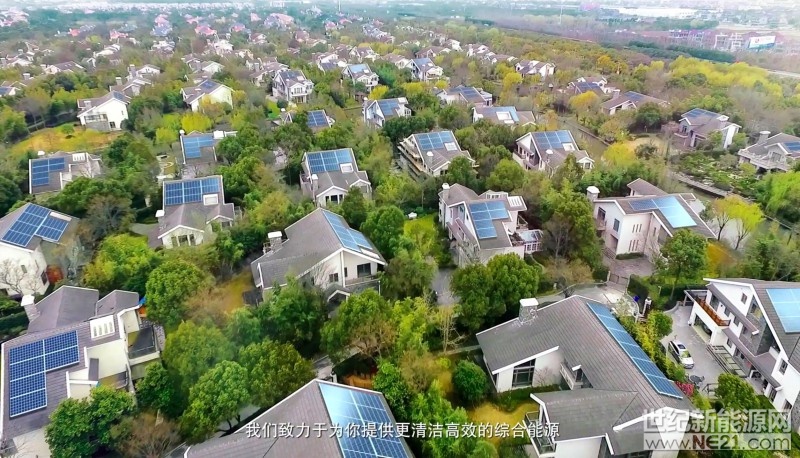 金雞辭歲，瑞犬迎春。萬家團(tuán)圓時刻，繁星點點照臨