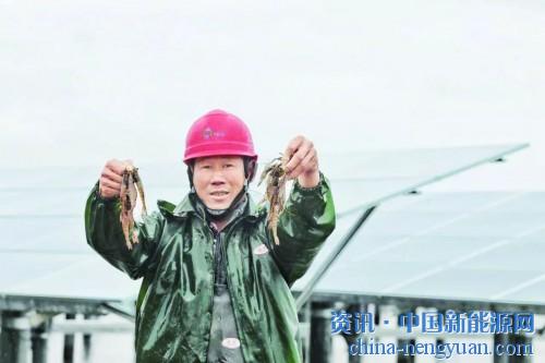                                                                                                                                                 
	　　“水田飛白鷺”是詩里的水鄉(xiāng)意境，如今，在廣東汕尾的赤坑鎮(zhèn)，藍(lán)色光伏板和水面的呼應(yīng)之處，隨處可見白鷺，構(gòu)成人工和自然和諧相處的詩中美景。

	　　隨著光伏行業(yè)的不斷發(fā)展創(chuàng)新，漁光互補(bǔ)模式已在多