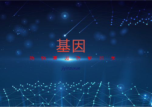 
            	2018年伊始，《Nature Biotechnology》上發(fā)布的一項研究報告稱，科學(xué)家們使用一部手機大小的測序儀 MinION ，完成了對人類基因組的測序。該儀器上的基因測序通過識別DNA單個分子在流過納米孔膜時流量的變化實現(xiàn)，每次可讀取一百萬個DNA字母