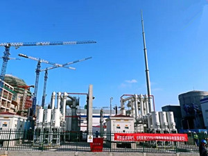 
                
	
                    
	3月2日03時(shí)32分，由中國(guó)核電工程有限公司總承包的“華龍一號(hào)”全球首堆示范工程福清核電5、6號(hào)機(jī)組220kV倒送電圓滿完成，為機(jī)組后續(xù)安裝、調(diào)試等工作創(chuàng)造了有利條件。

	

	“華龍一號(hào)”全球首堆——福清核電5、6號(hào)機(jī)組220kV輔助電源倒送電經(jīng)過二十多個(gè)小時(shí)的連續(xù)操作和測(cè)試，整組啟動(dòng)試驗(yàn)于2018年3月2日03:32全部完成，進(jìn)入24小時(shí)試運(yùn)行階