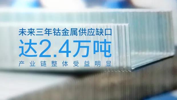
	中國儲能網(wǎng)訊：作為全球智能手機的老大，蘋果公司的一舉一動牽動著各路產(chǎn)業(yè)及資本的神經(jīng)。前日，蘋果公司拋出一份包攬“鈷礦”的計劃，根據(jù)相關報道，該計劃設計購買數(shù)千噸鈷的大訂單，期限為5年或更長